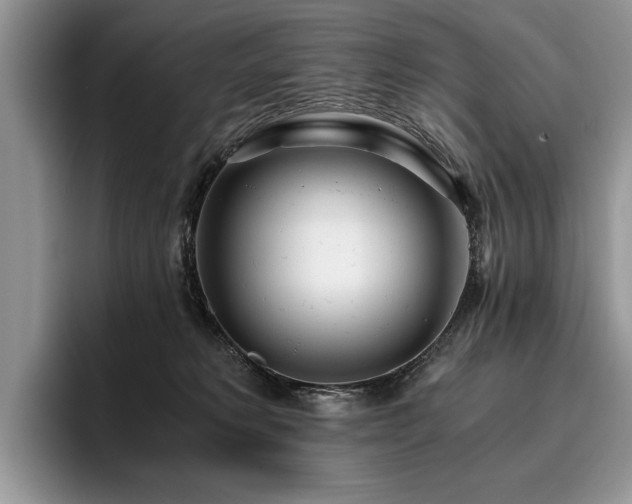 X0000096140229200801181139
