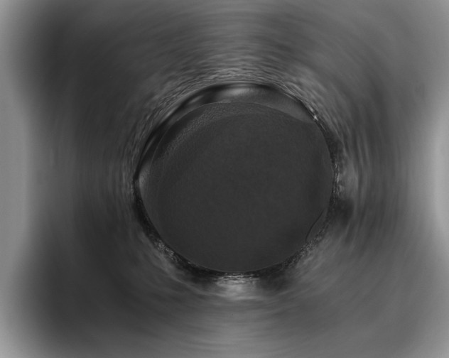 X0000096140231200801181139
