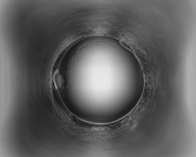 X0000096140242200801181138