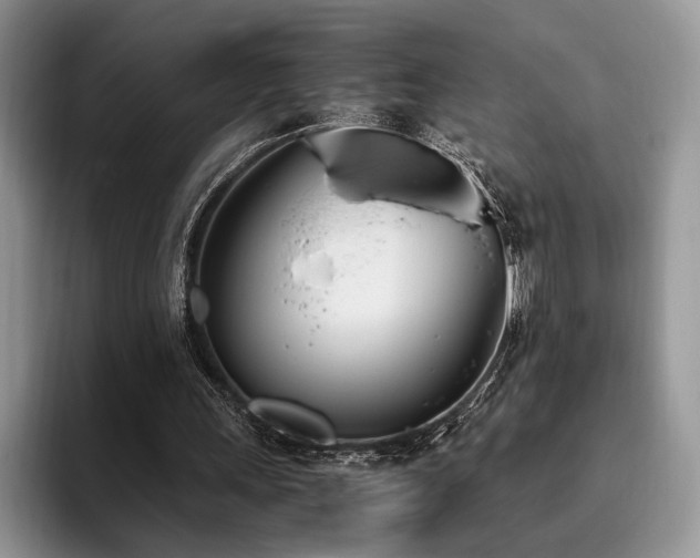 X0000096140243200801181138