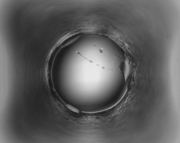 X0000096140244200801181138