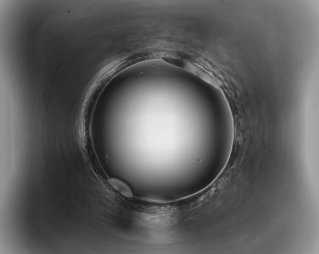 X0000096140245200801181138