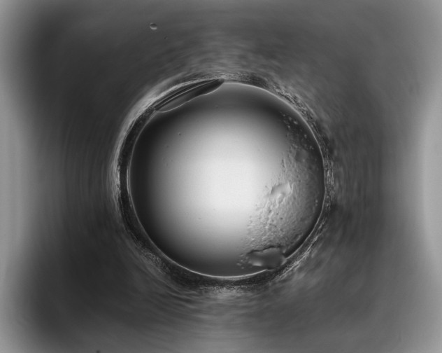 X0000096140246200801181138