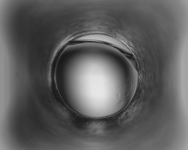 X0000096140248200801181138