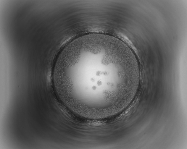 X0000096140249200801181138