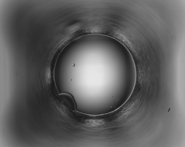 X0000096140251200801181138