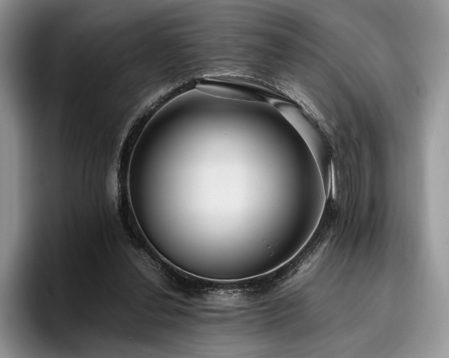 X0000096140252200801181138
