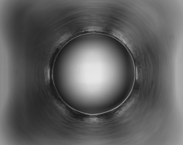 X0000096140253200801181138