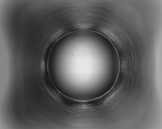 X0000096140254200801181138