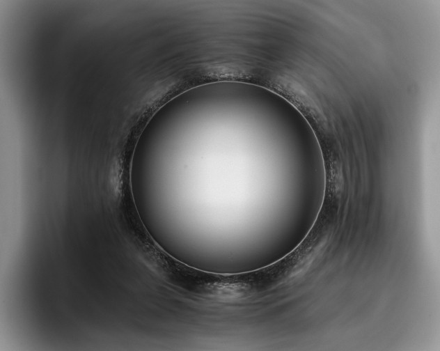 X0000096140255200801181138