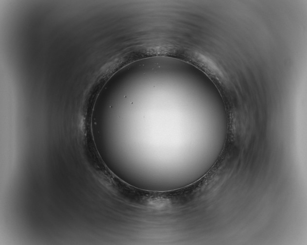 X0000096140258200801181138