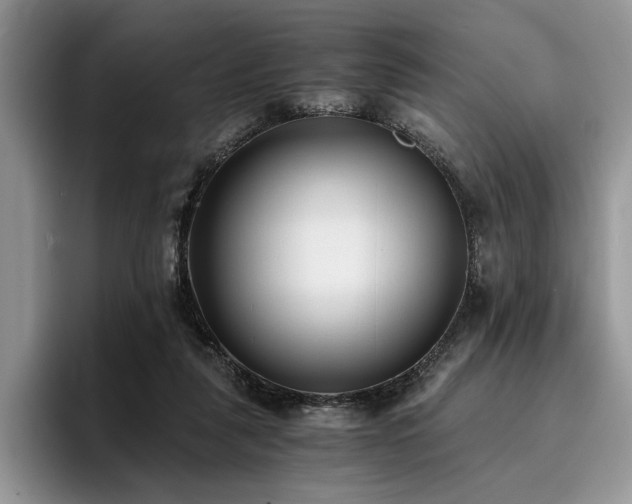 X0000096140259200801181138