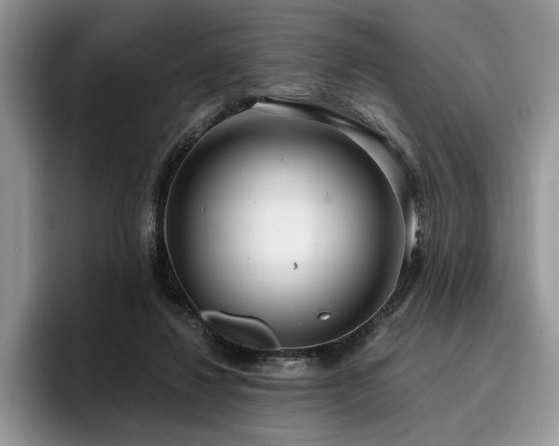 X0000096140260200801181138