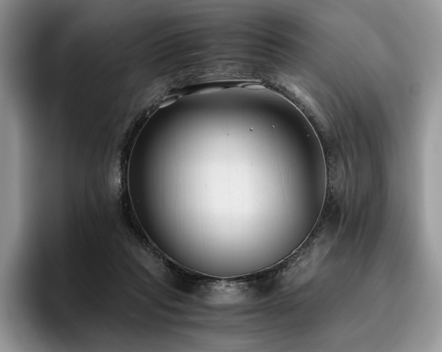 X0000096140261200801181138