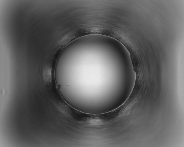 X0000096140262200801181138