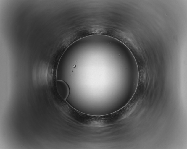 X0000096140263200801181139