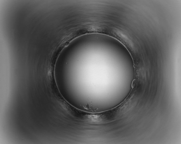 X0000096140265200801181139