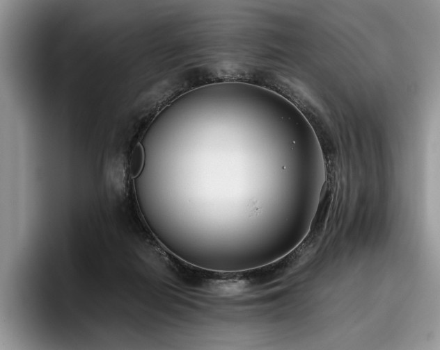 X0000096140266200801181139