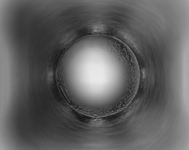 X0000096140269200801181139
