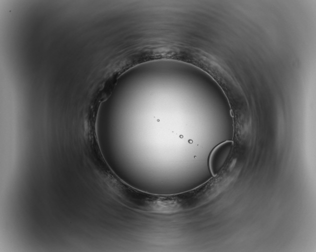 X0000096140270200801181139