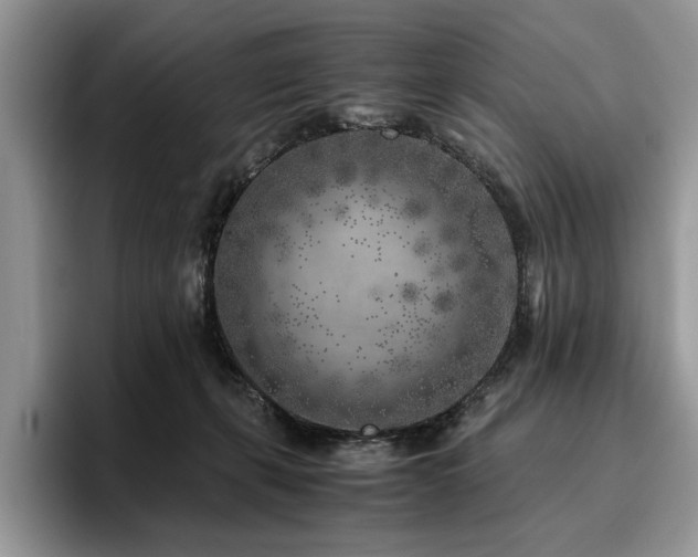 X0000096140271200801181139