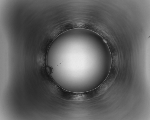 X0000096140274200801181139