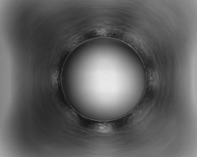 X0000096140275200801181139