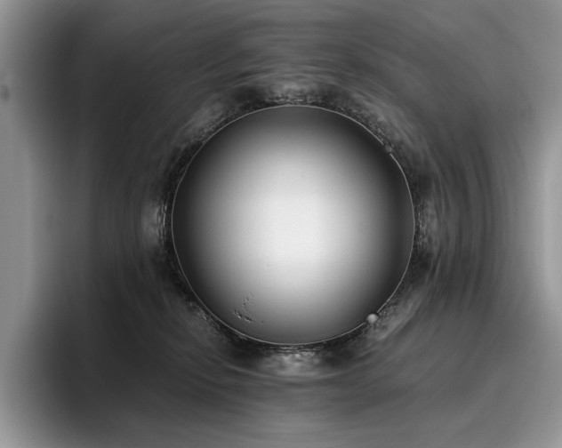 X0000096140278200801181139