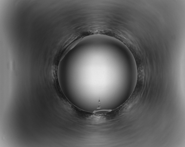X0000096140280200801181139
