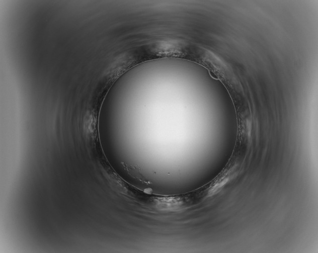 X0000096140281200801181139