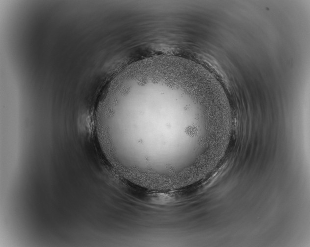 X0000096140285200801181139