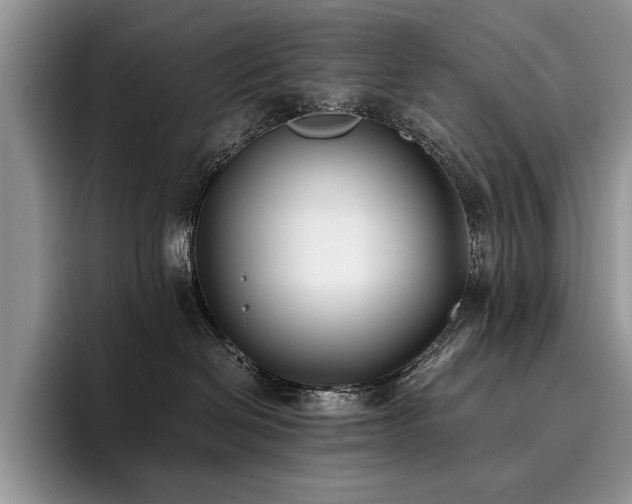 X0000096140286200801181139