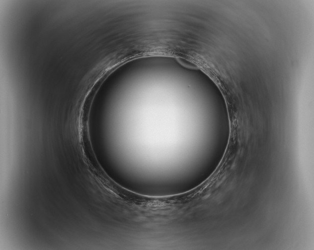X0000096140290200801181138