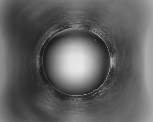 X0000096140291200801181138