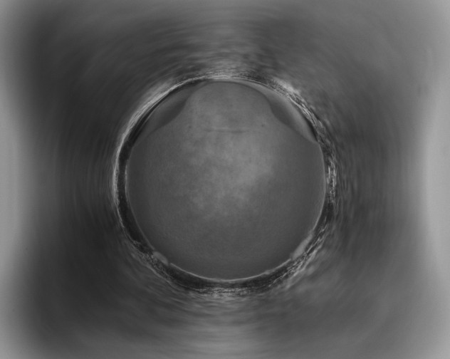 X0000096140292200801181138
