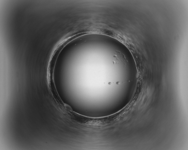 X0000096140294200801181138
