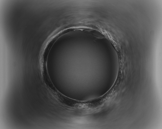 X0000096140295200801181138