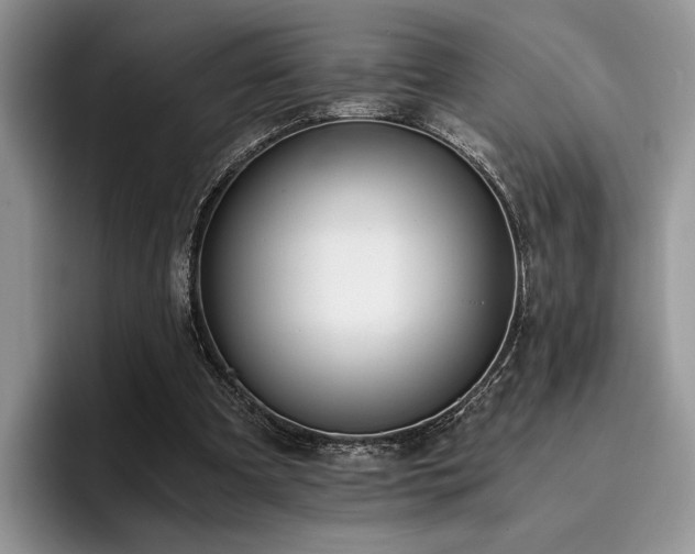 X0000096140297200801181138