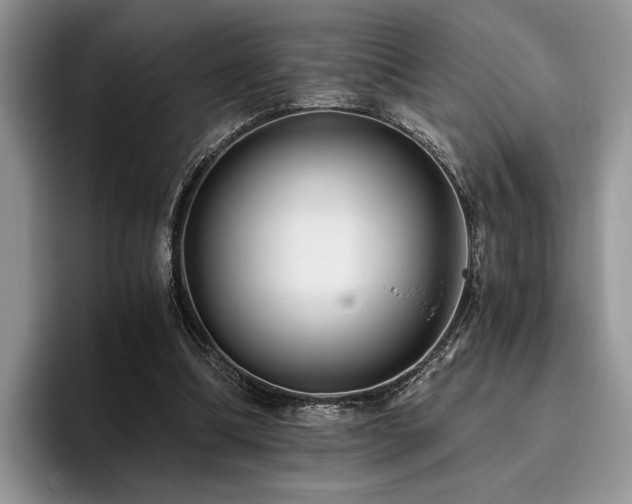 X0000096140298200801181138