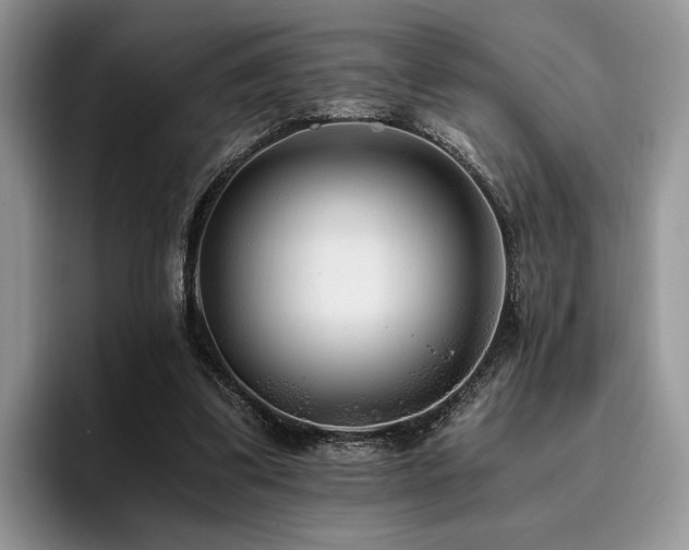 X0000096140299200801181138