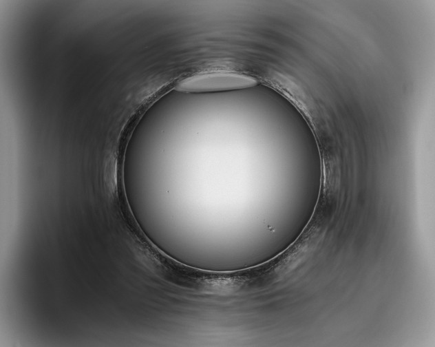 X0000096140301200801181138