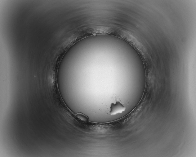 X0000096140305200801181138