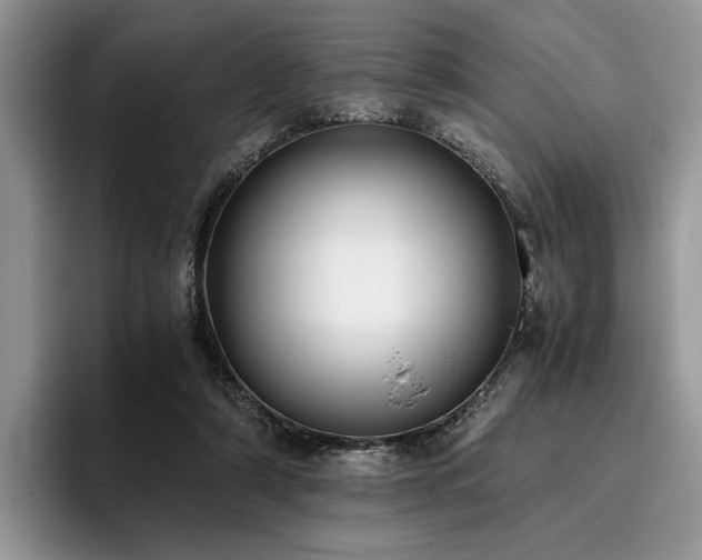 X0000096140306200801181138