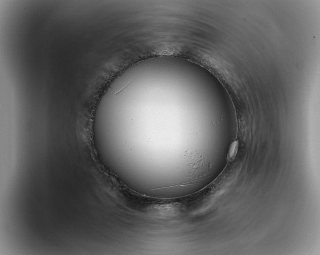 X0000096140307200801181138