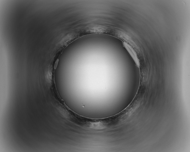 X0000096140309200801181138