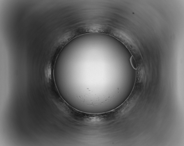 X0000096140310200801181138