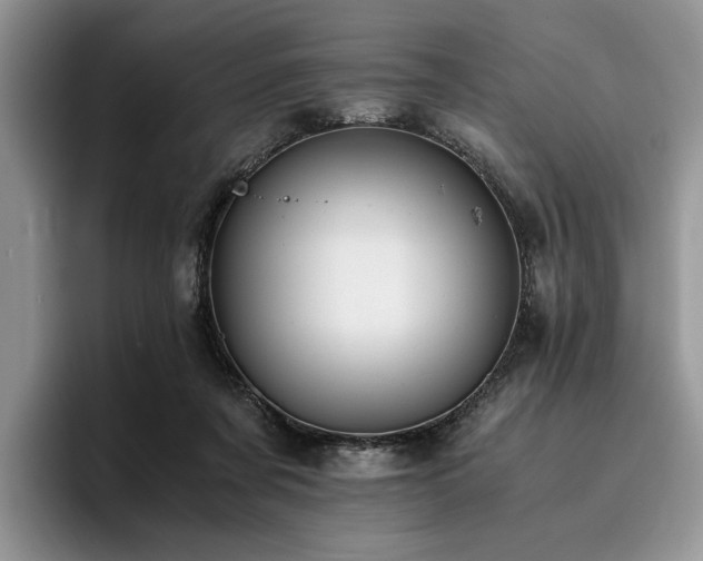 X0000096140311200801181138