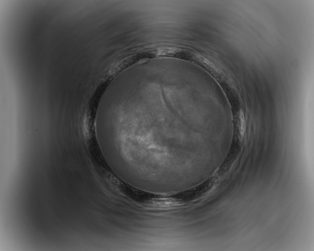 X0000096140316200801181138