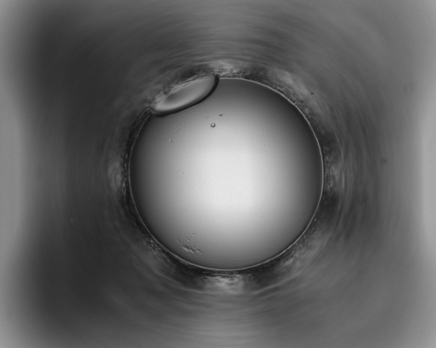 X0000096140317200801181138