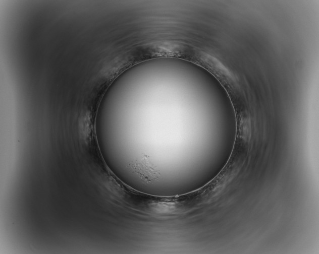 X0000096140318200801181138